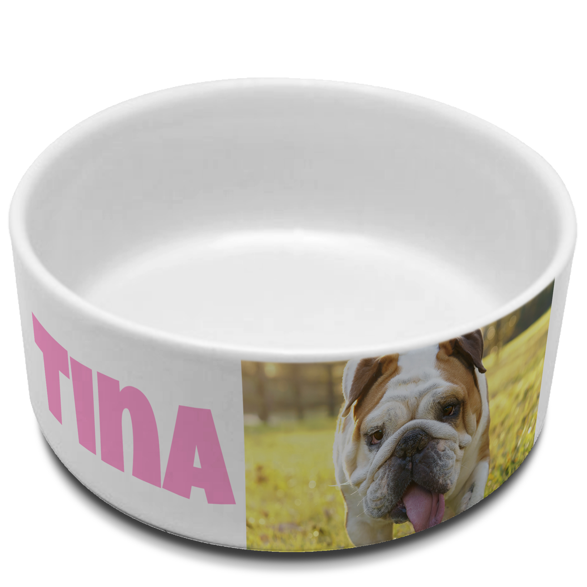 Comedero para perros personalizado grande
