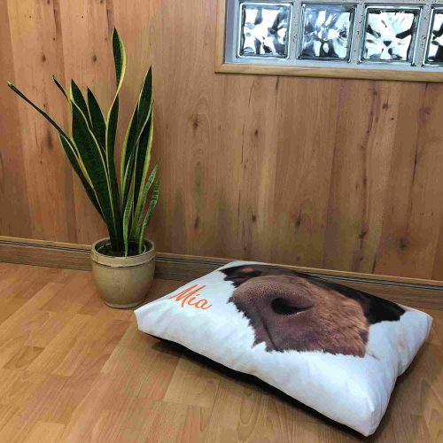cama de perro personalizada