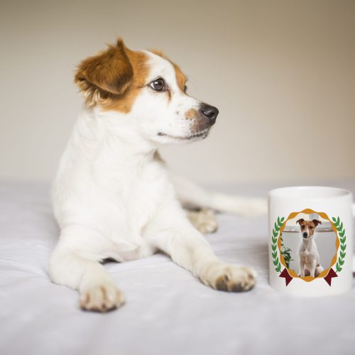 portrait of a cute white and brown small dog sitting on bed. Cup of coffee besides. Home, pets indoors